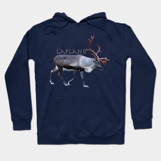 Lapland Hoodie